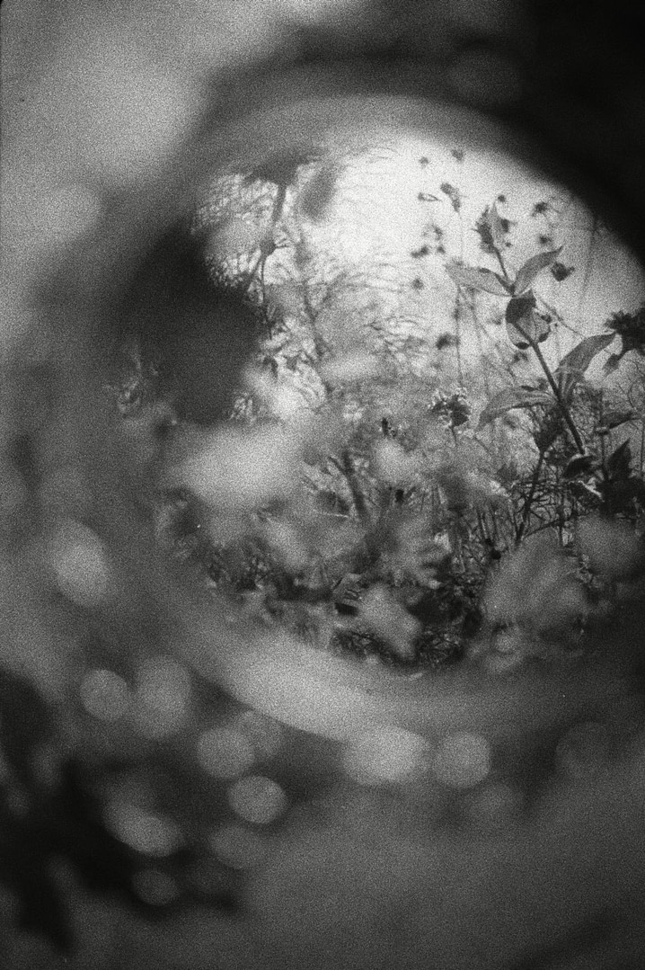 Placeholder Select Dynamic field