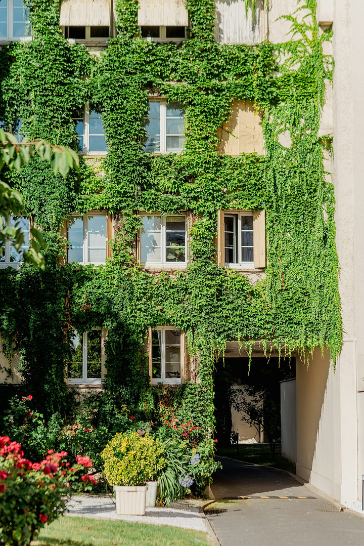 Photo by Eugenia Pankiv